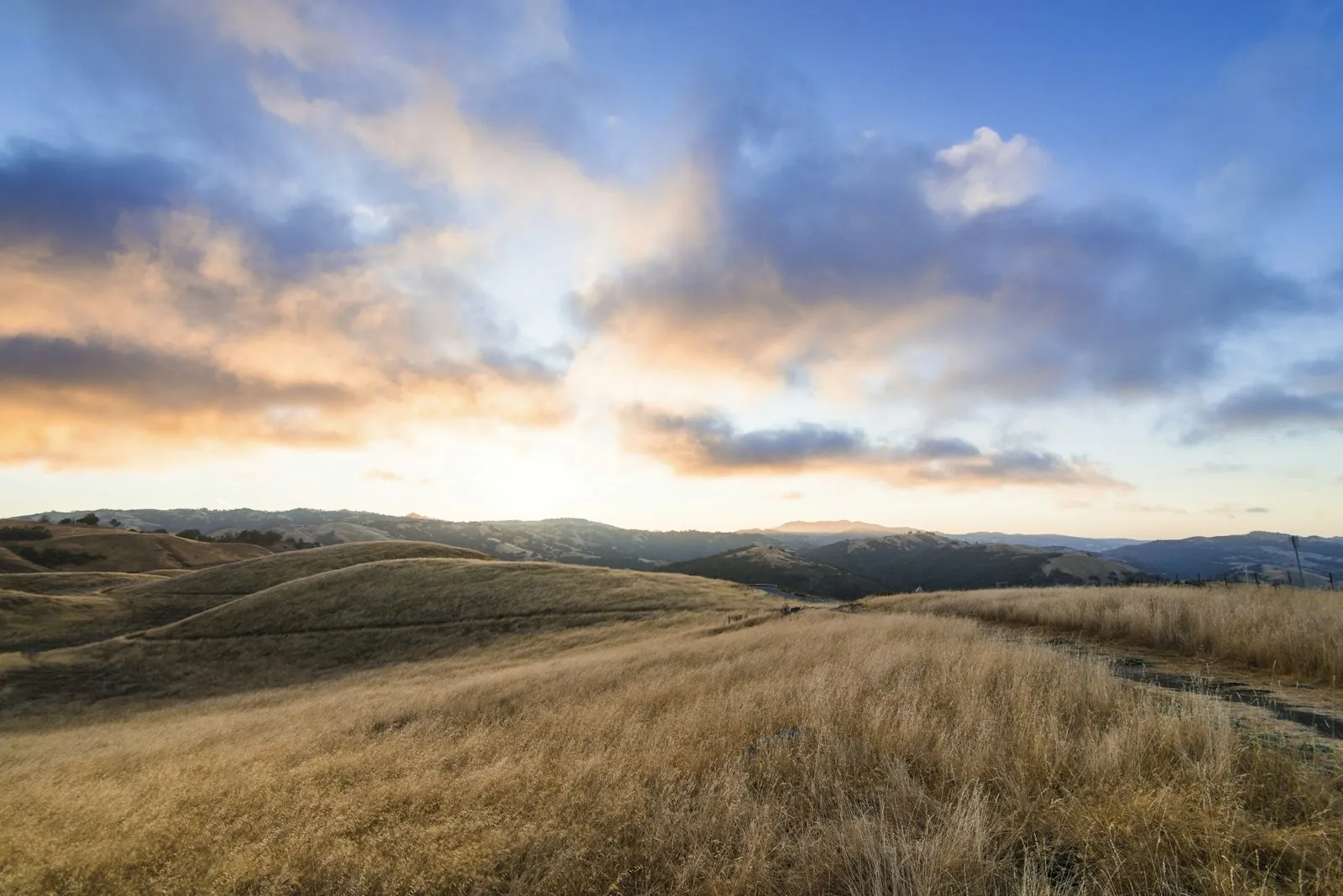 An open field under a clear sky