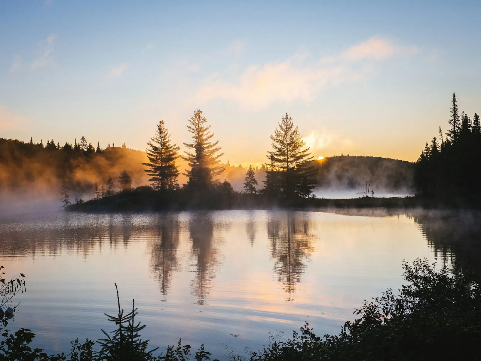 Still water and trees at sunrise